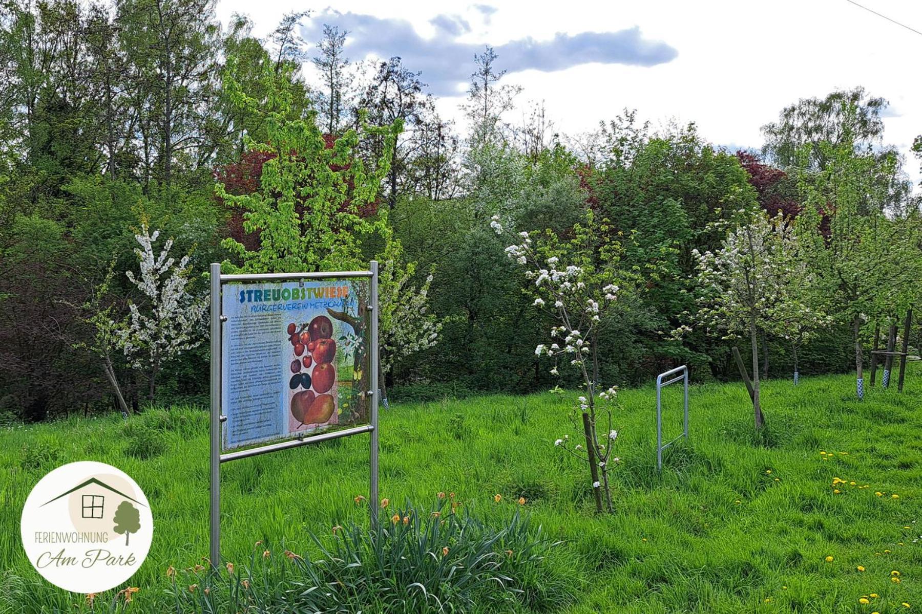 Grosszuegige Wohnung Am Comberg-Park เมทท์มานน์ ภายนอก รูปภาพ